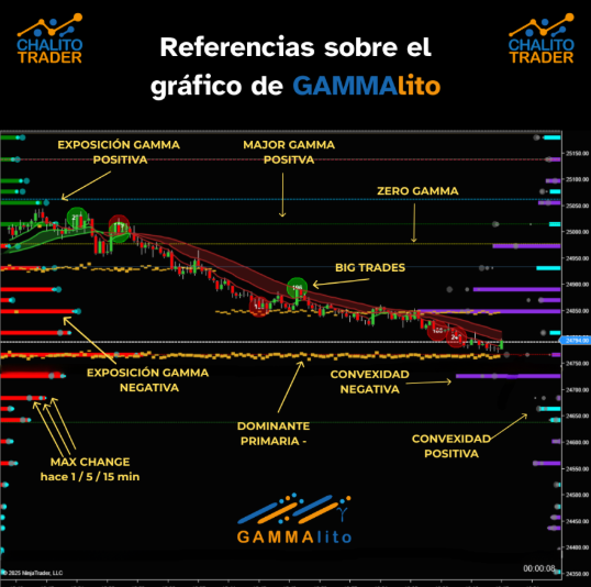 Chart de futuros NQ con los 7 componentes de GAMMAlito superpuestos: GEX, Zero Gamma, Major Positive, Major Negative, Dominantes, Convexidad, BigTrades y CVD