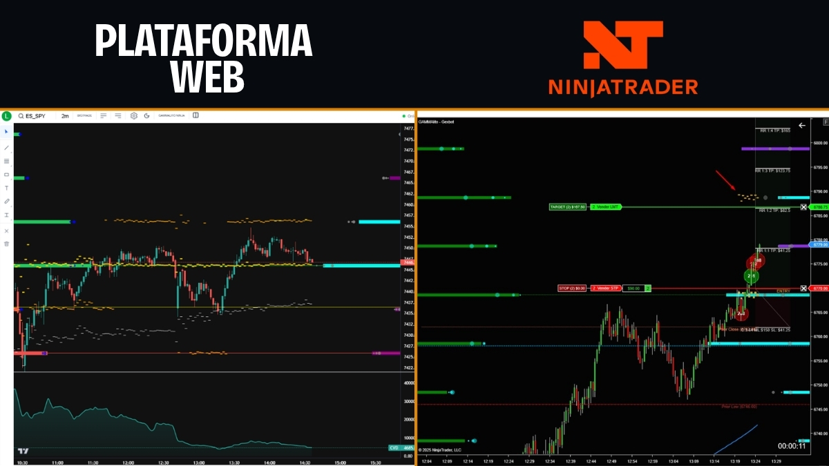 Entrá al dashboard o NT8